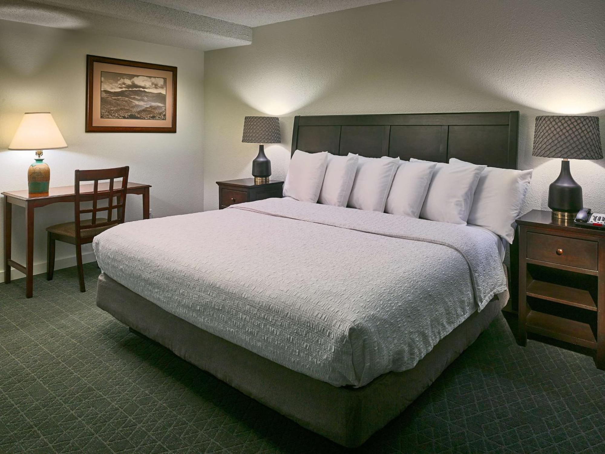 Hampton Inn Гатлинбург Экстерьер фото